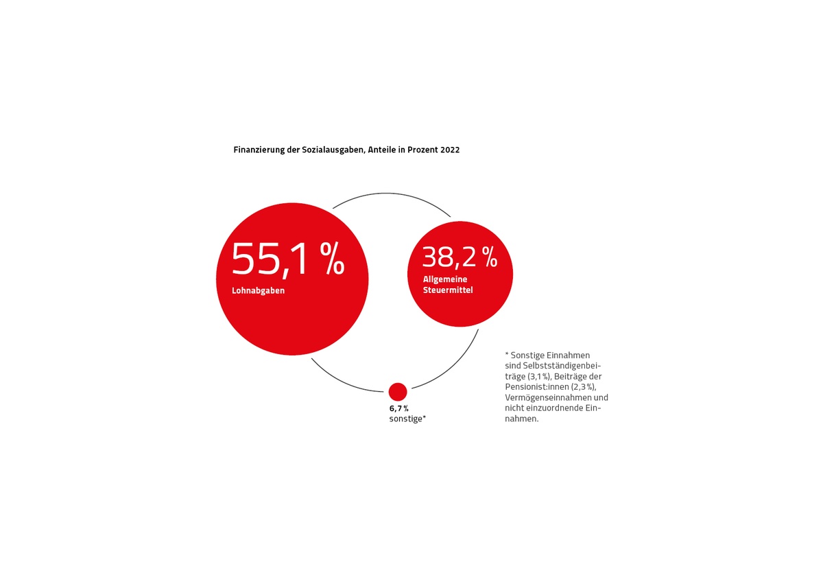 Grafik Finanzierung Sozialstaat © Rauch-Gessl, AK Niederösterreich