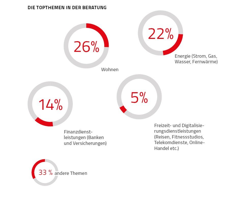 Grafik Konsumentenschutzthemen 2023 © Rauch-Gessl, AK Niederösterreich