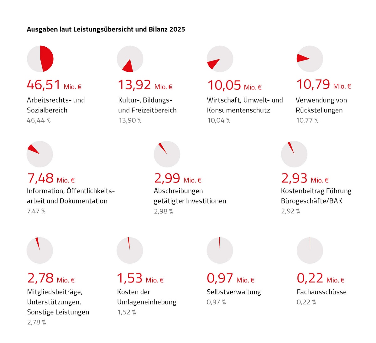 Grafik zu den Ausgaben laut Leistungs&uuml;bersicht und Bilanz 2025 &copy; Claudia Rauch-Gessl, AK Nieder&ouml;sterreich