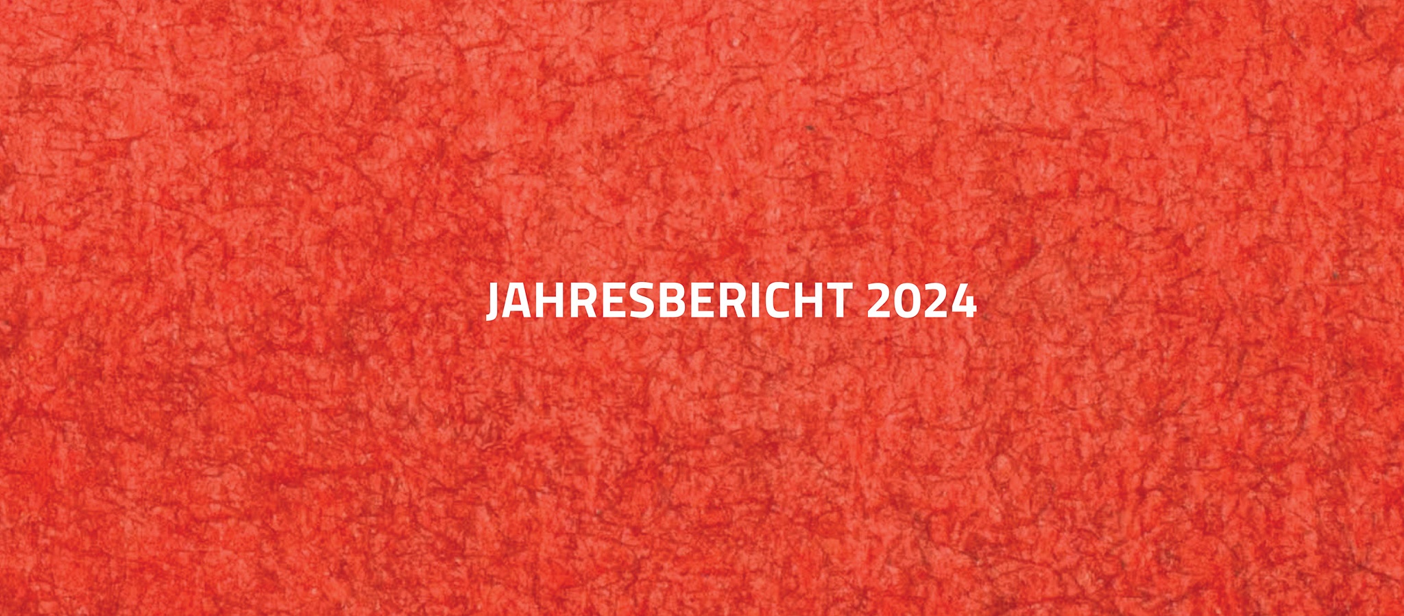 Headerbild rot mit weißem Schriftzug Jahresbericht 2024 © Claudia Rauch-Gessl , AK Niederösterreich