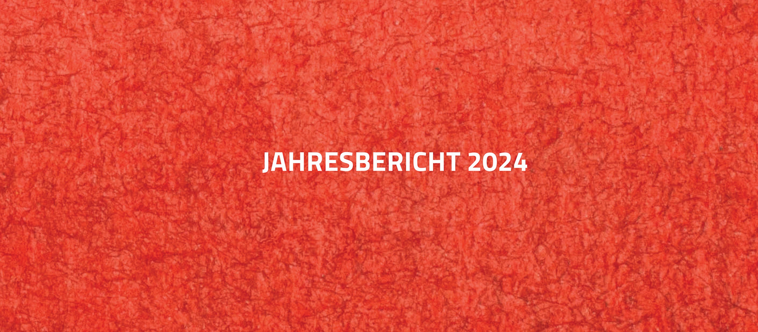 Headerbild rot mit weißem Schriftzug Jahresbericht 2024 © Claudia Rauch-Gessl , AK Niederösterreich