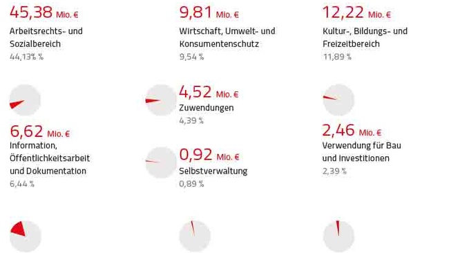 Grafische Darstellung der Budgetausgaben der AK Niederösterreich für die einzelnen Leistungen im Jahr 2024. Der Löwenanteil bzw. 44 Prozent des Budgets werden für den Rechtsschutz im Arbeits- und Sozialrecht ausgegeben. © Claudia Rauch-Gessl, AK Niederösterreich