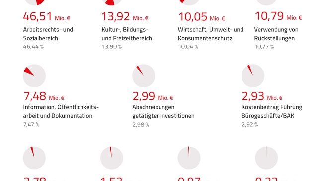 Grafik zu den Ausgaben laut Leistungs&uuml;bersicht und Bilanz 2025 &copy; Claudia Rauch-Gessl, AK Nieder&ouml;sterreich